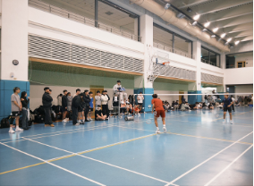 Image (No. 4): See main text for details.(Open new window/png file)Image