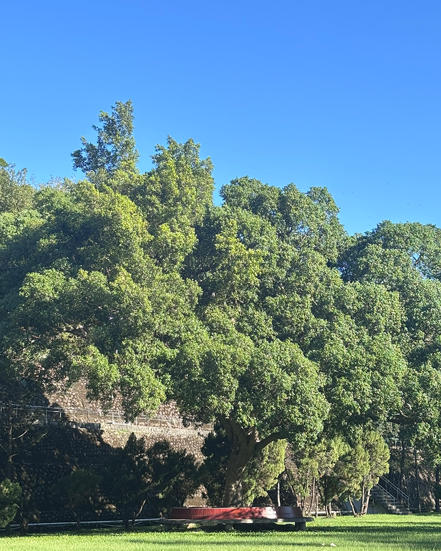 新北綠盟攜手明志科大、台灣電池協會 共同擘劃AI次世代兆瓦級微電網（中央社）圖片