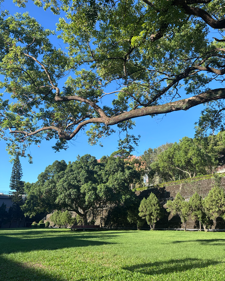 明志科技大學(另開新視窗)