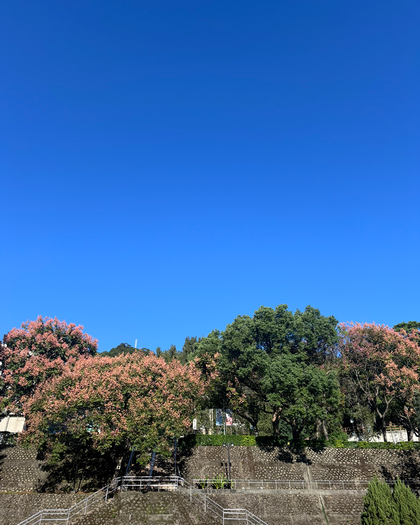 明志科技大學(另開新視窗)