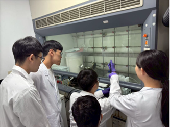 Image (No. 4): See main text for details.(Open new window/png file)Image