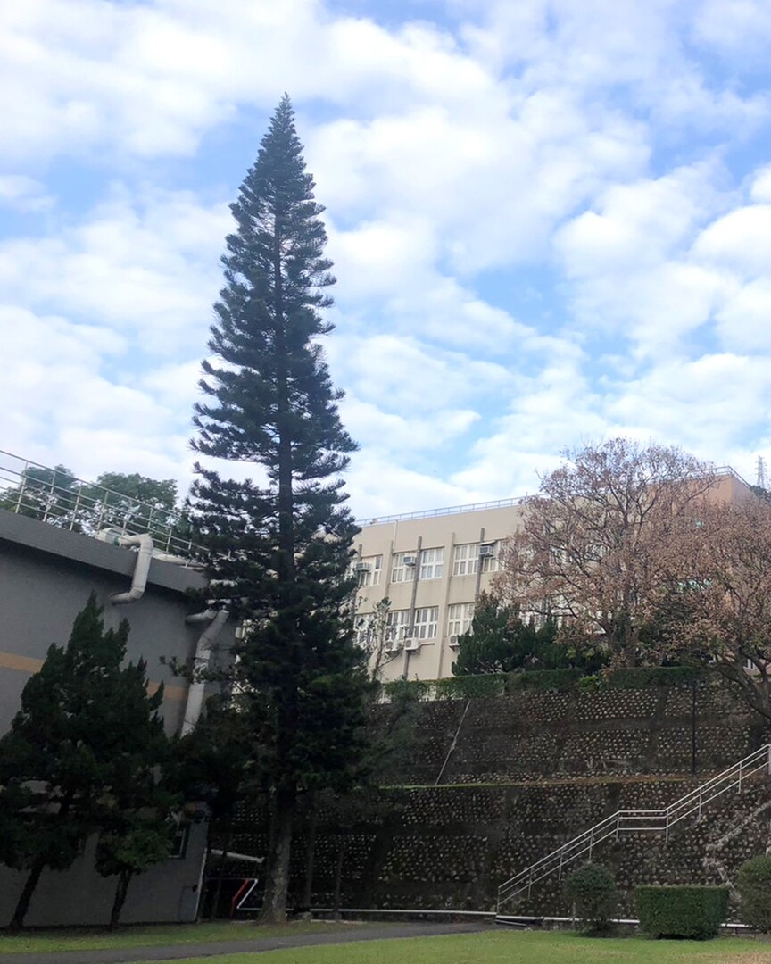 明志科大在2025年《遠見》台灣最佳大學排行榜獲頒「綜合績效－私立大學典範獎」 高居全國私立科技大學之首（台灣民眾電子報）圖片