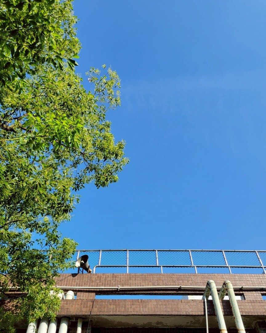 明志科技大學與美國辛辛那提大學合作 舉辦「2025美國辛辛那提大學暑期英語及半導體專業研習營」（台灣民眾電子報）圖片