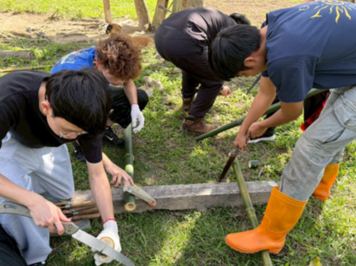 Image (No. 1): See main text for details.(Open new window/png file)Image