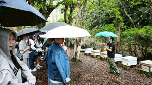 Image (No. 3): See main text for details.(Open new window/png file)Image